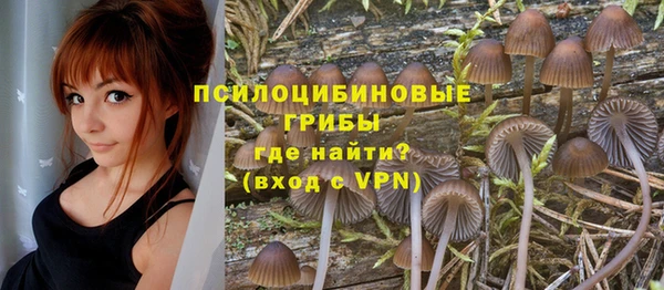 экстази Абаза
