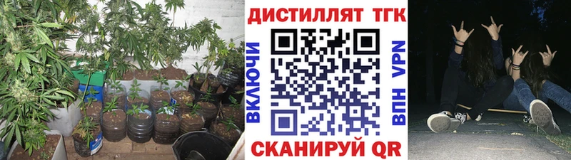 Дистиллят ТГК THC oil Калининград