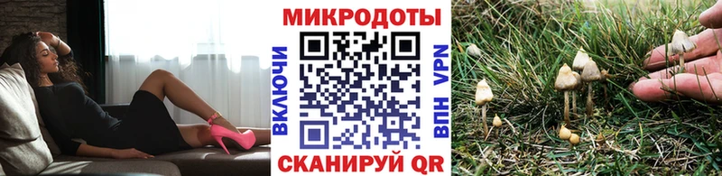 Галлюциногенные грибы ЛСД  Калининград 